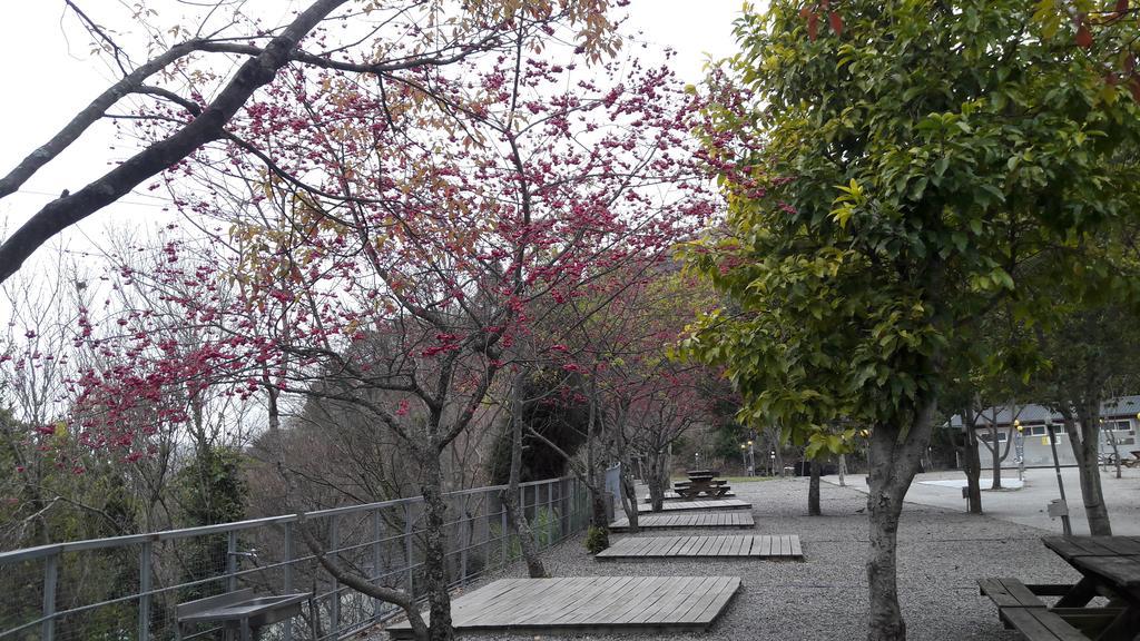Qing Jing Xiao Taiyang Jingguan Homestay Женай Екстер'єр фото